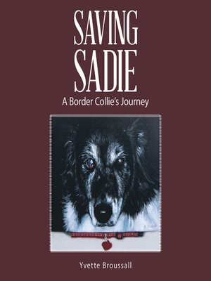 cover image of Saving Sadie